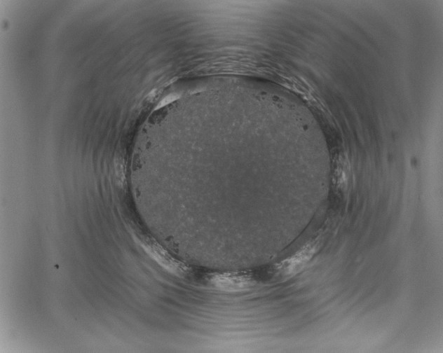 X0000067870568200604201221