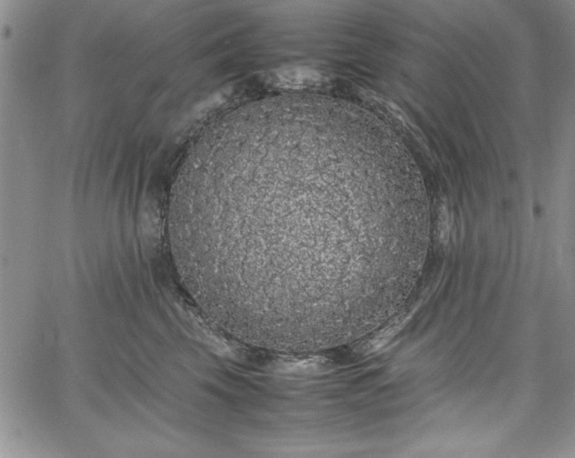 X0000067870569200604201221