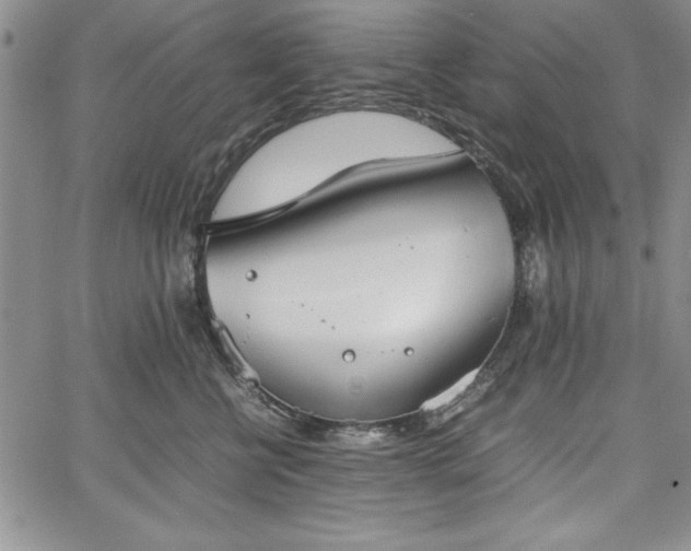 X0000067870570200604201221