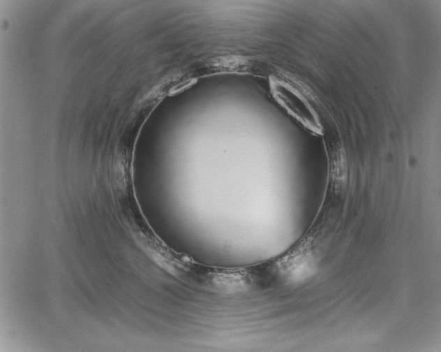 X0000067870572200604201221