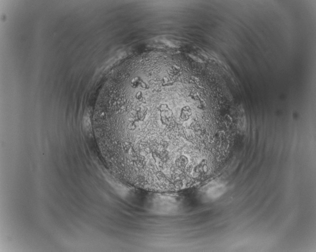 X0000067870573200604201221