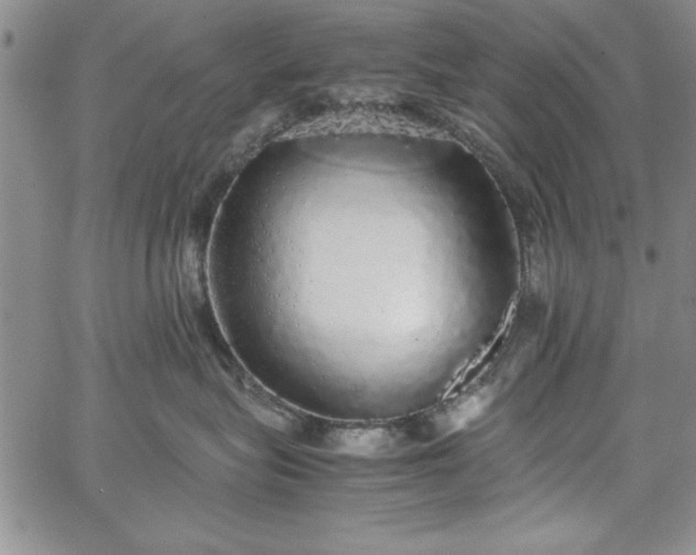 X0000067870575200604201221