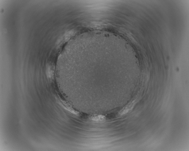 X0000067870576200604201221