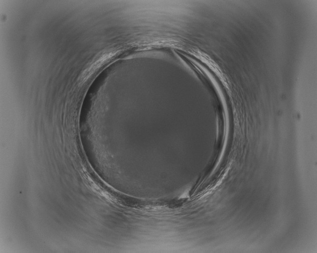 X0000067870577200604201220