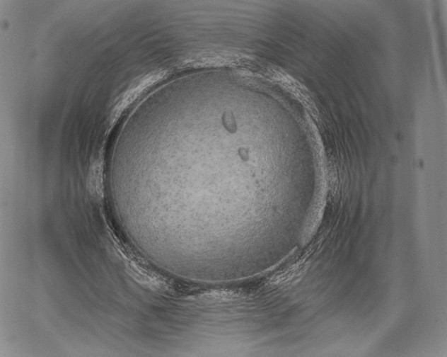 X0000067870578200604201220