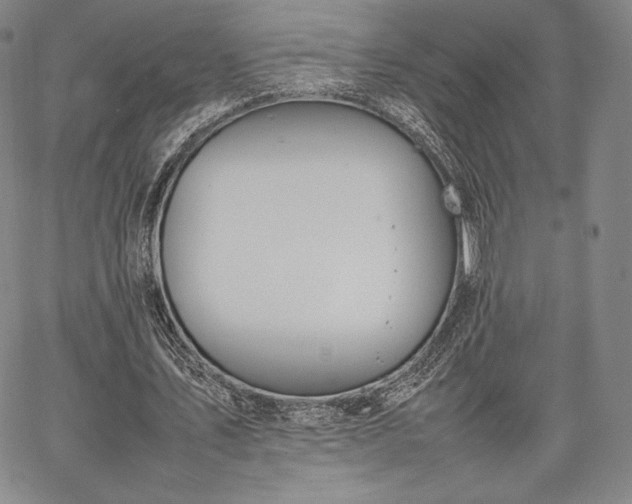 X0000067870579200604201220