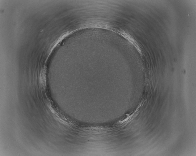 X0000067870580200604201220