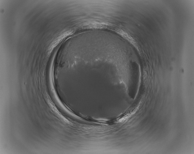 X0000067870581200604201220