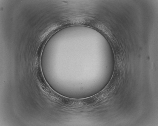 X0000067870583200604201220