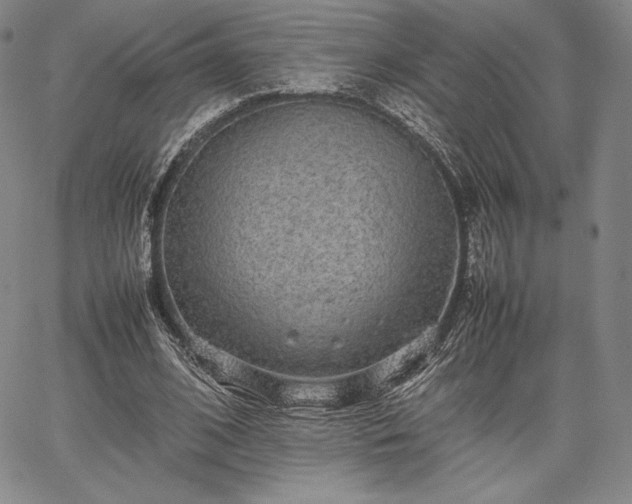 X0000067870584200604201220