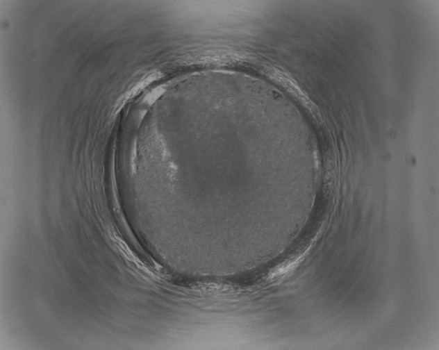 X0000067870585200604201220