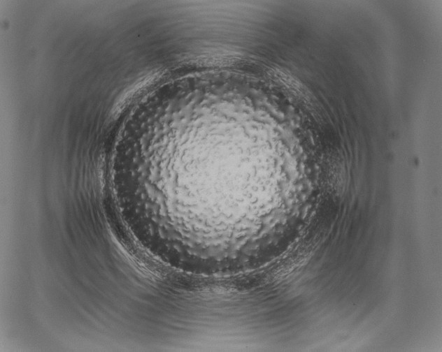 X0000067870586200604201220