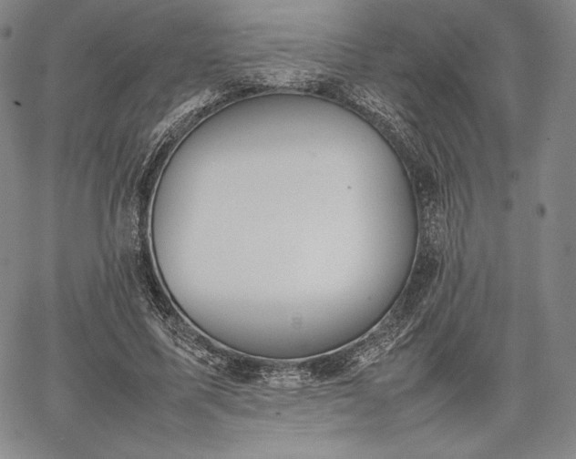 X0000067870587200604201220