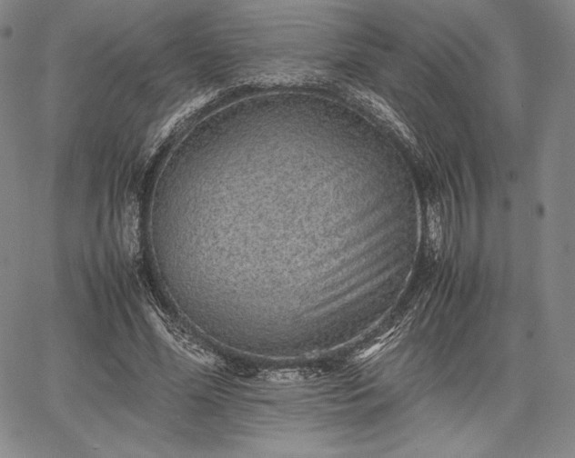 X0000067870588200604201220