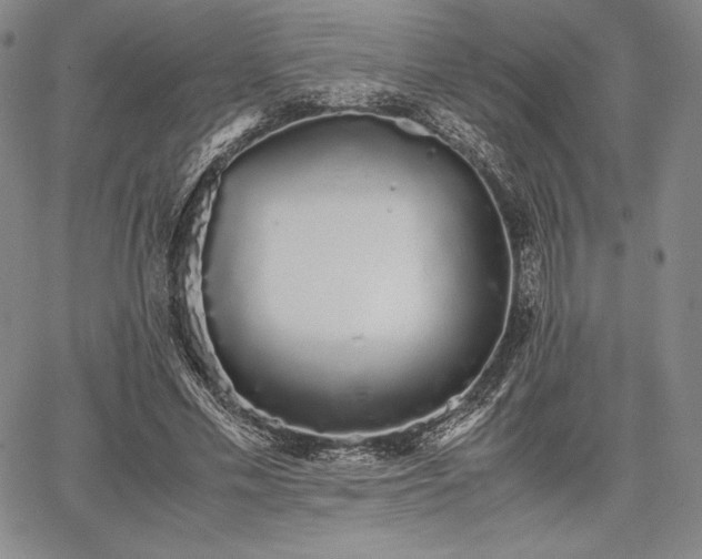 X0000067870589200604201220