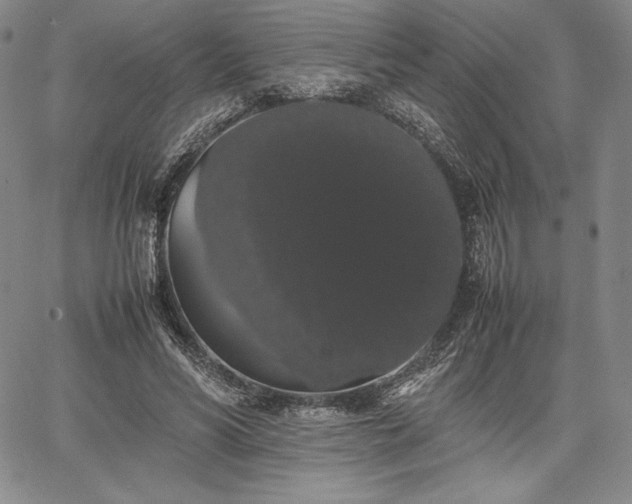 X0000067870590200604201220