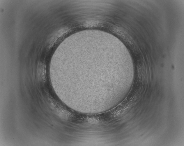 X0000067870592200604201220