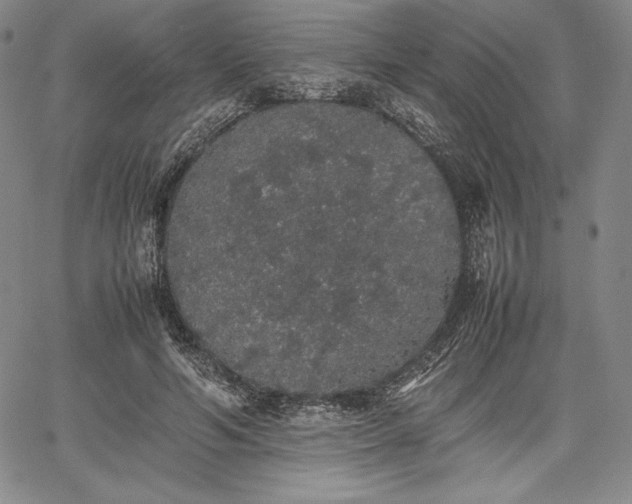 X0000067870594200604201220