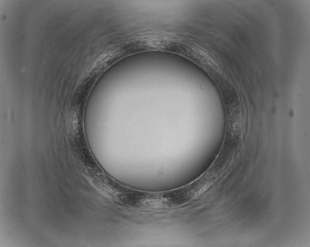 X0000067870595200604201220