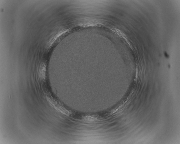 X0000067870596200604201220