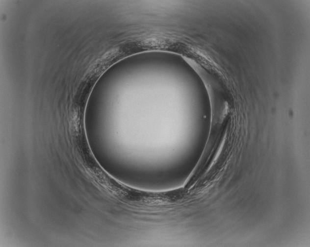 X0000067870597200604201220