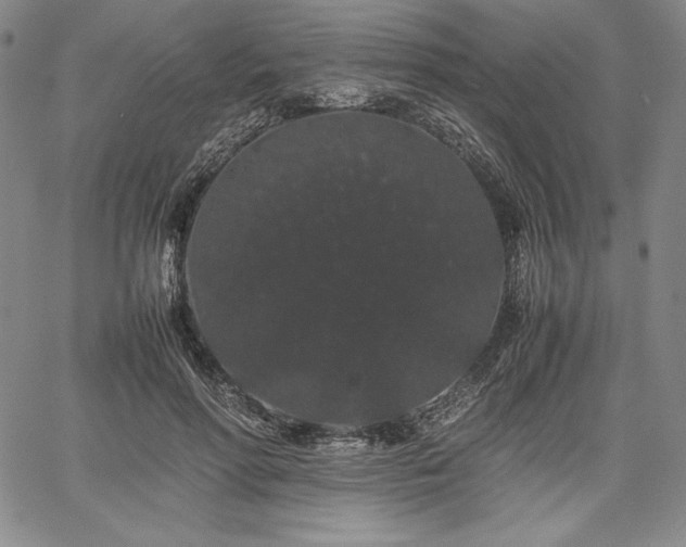 X0000067870598200604201220