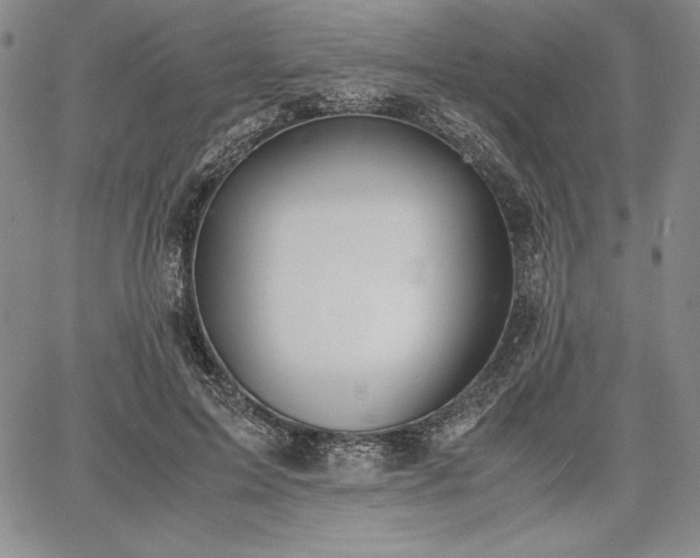 X0000067870599200604201220