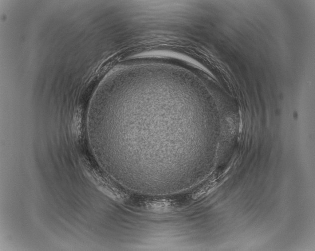 X0000067870600200604201220