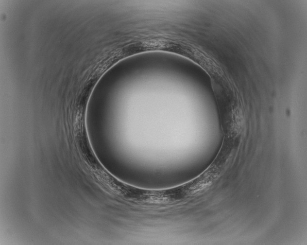 X0000067870601200604201220