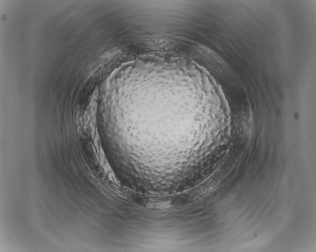 X0000067870602200604201220