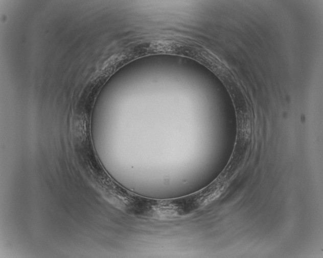 X0000067870603200604201220