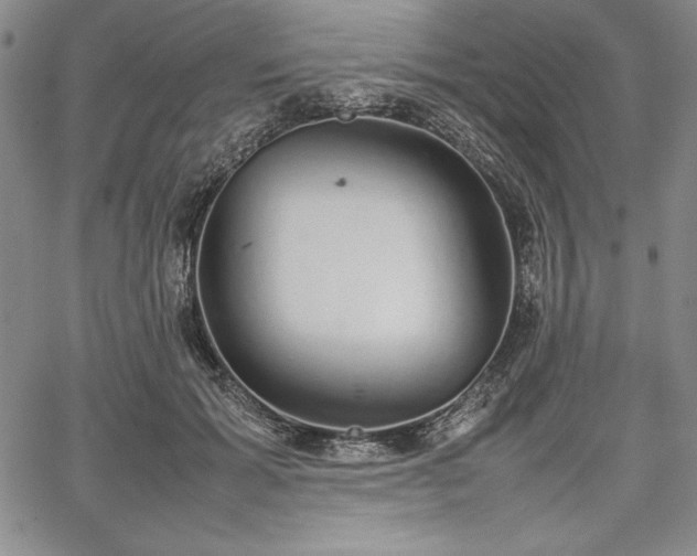 X0000067870605200604201220