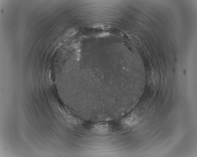 X0000067870606200604201220