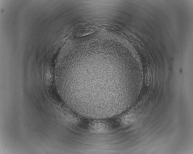 X0000067870608200604201220