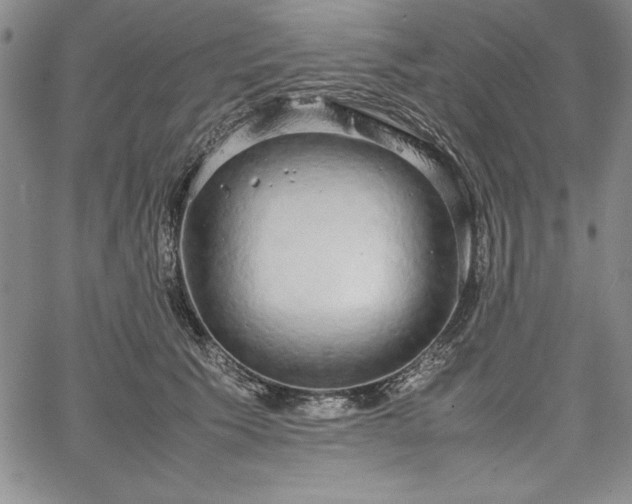 X0000067870609200604201220