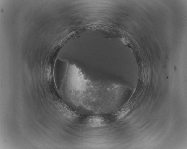 X0000067870610200604201220