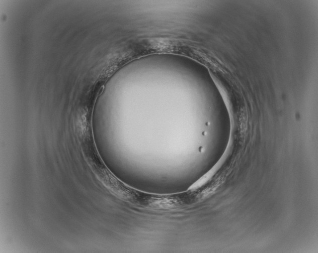 X0000067870611200604201219