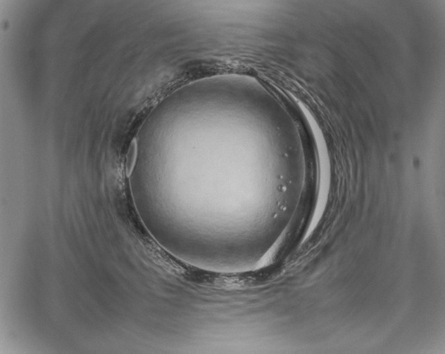 X0000067870613200604201219