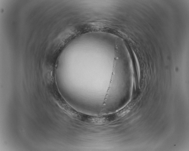 X0000067870615200604201219