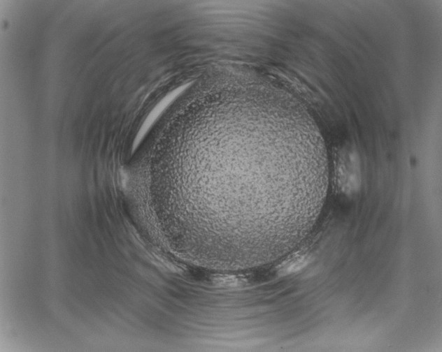 X0000067870616200604201219