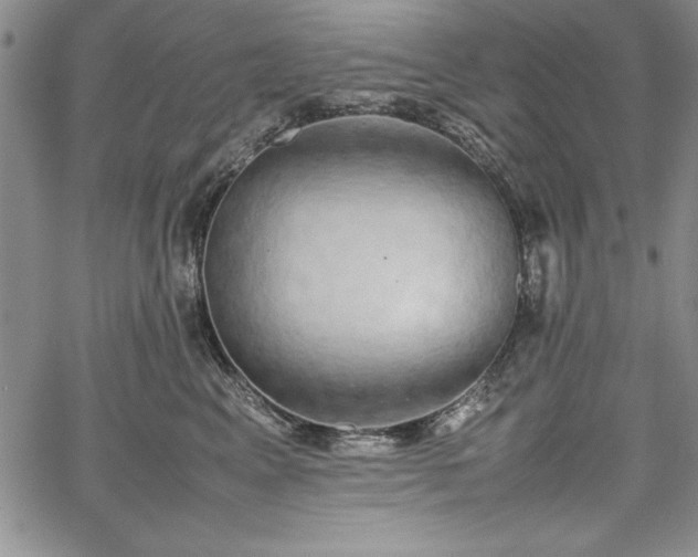 X0000067870617200604201219