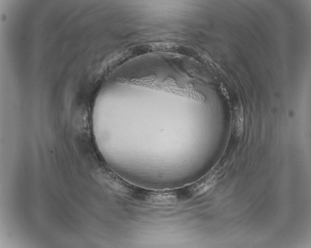 X0000067870619200604201219