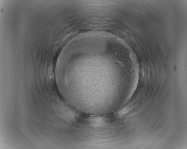 X0000067870620200604201219