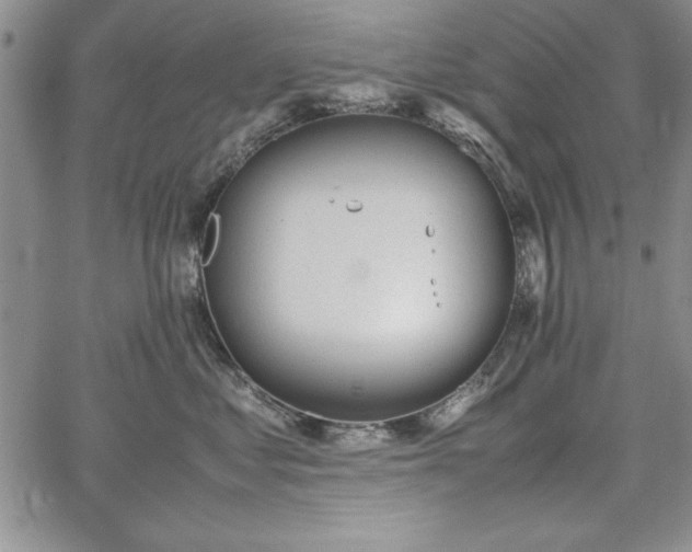 X0000067870621200604201219