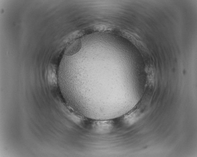 X0000067870622200604201219