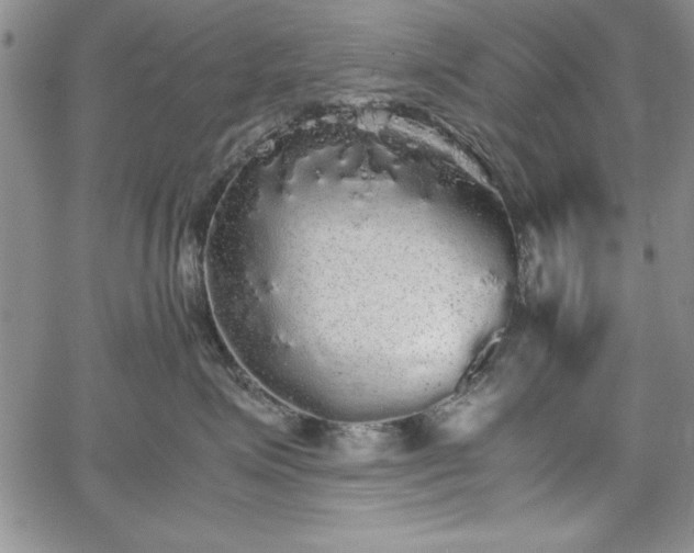 X0000067870623200604201219