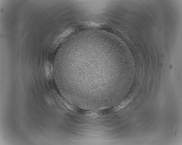 X0000067870624200604201219