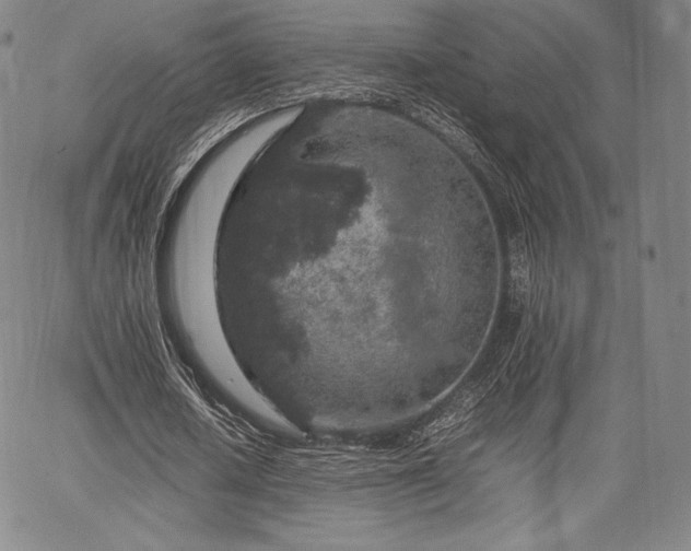 X0000067870626200604201219