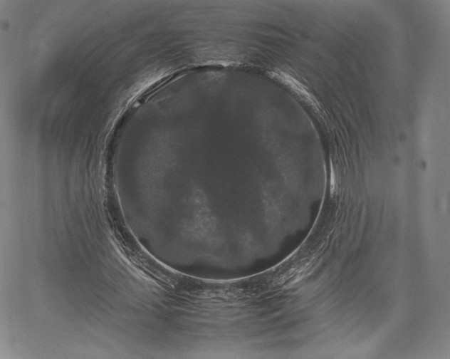 X0000067870627200604201219