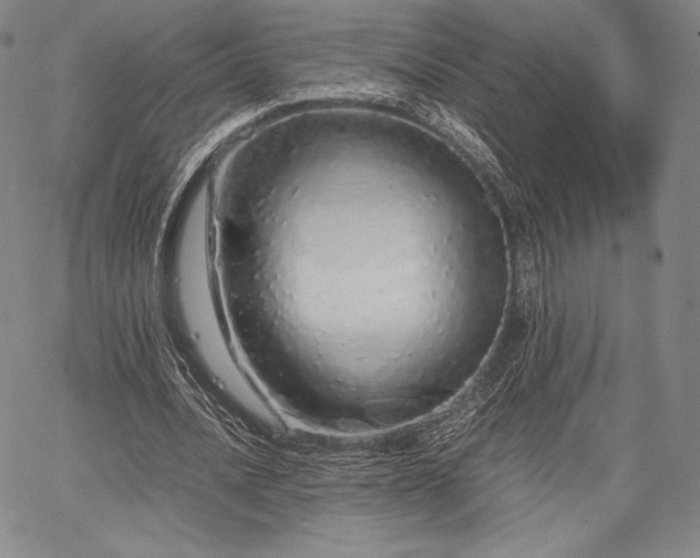 X0000067870628200604201219